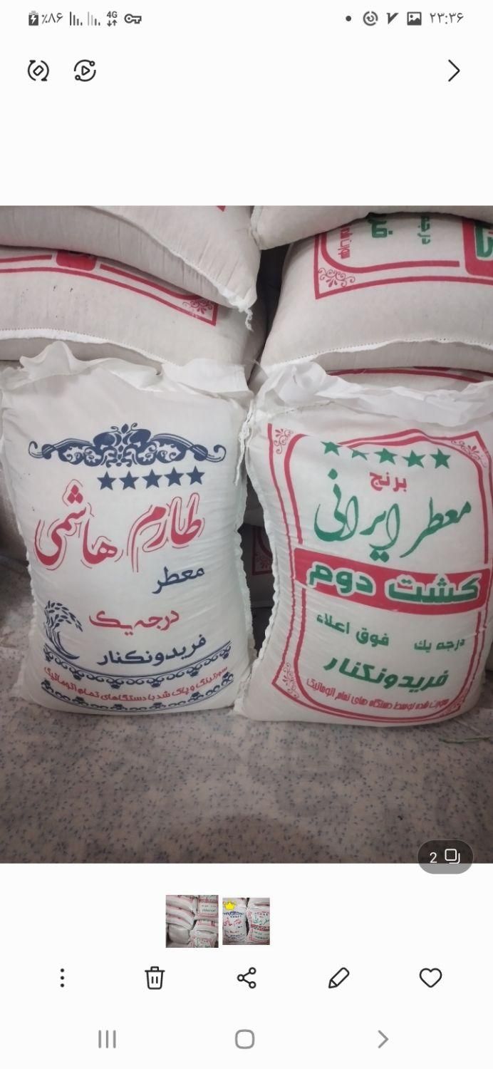 برنج  دو ماهه|خوردنی و آشامیدنی|کاشان, شهدا|دیوار
