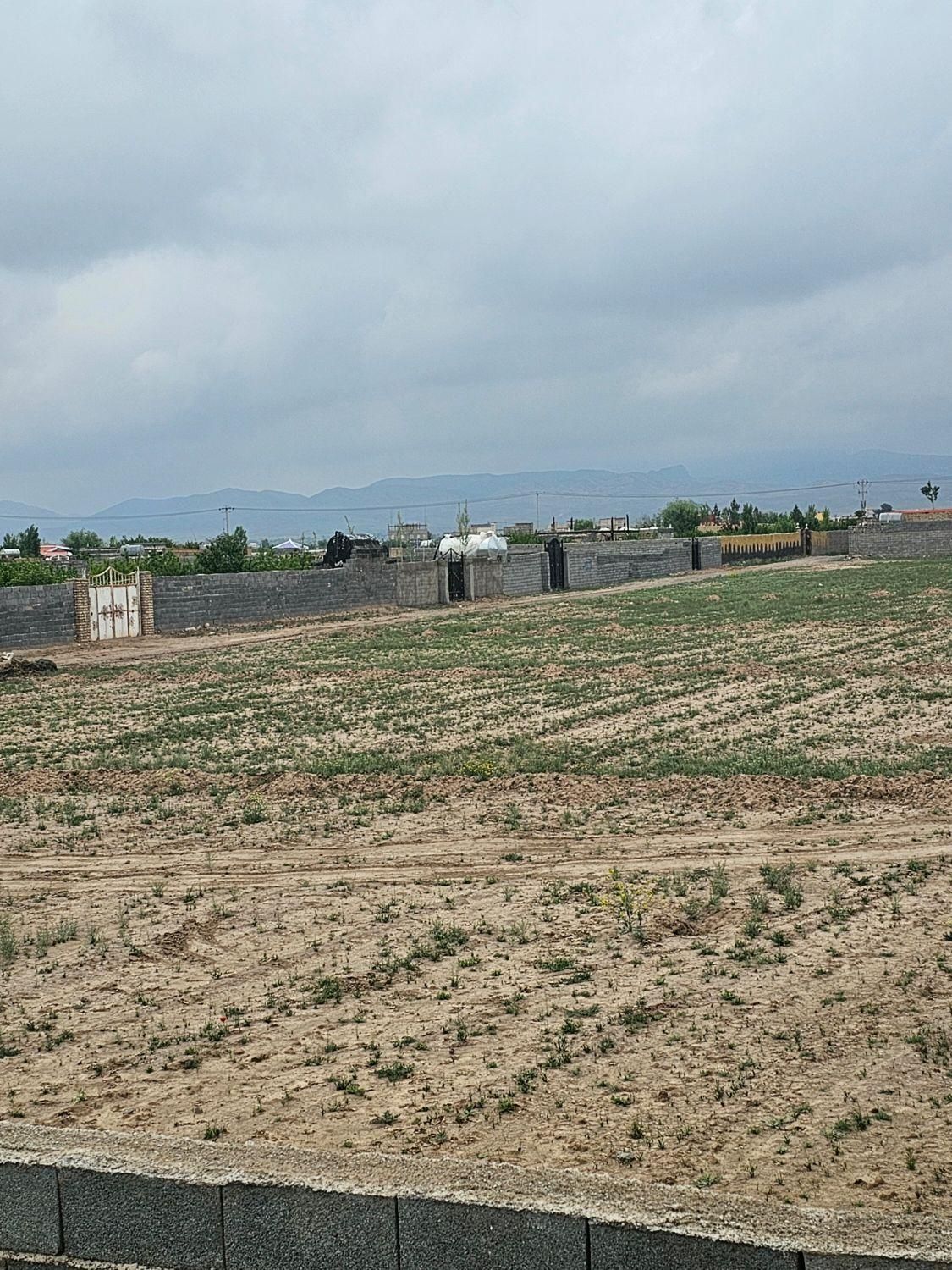 فروش زمین باغی روستای زاک ونجم|فروش زمین و ملک کلنگی|مشهد, الهیه|دیوار