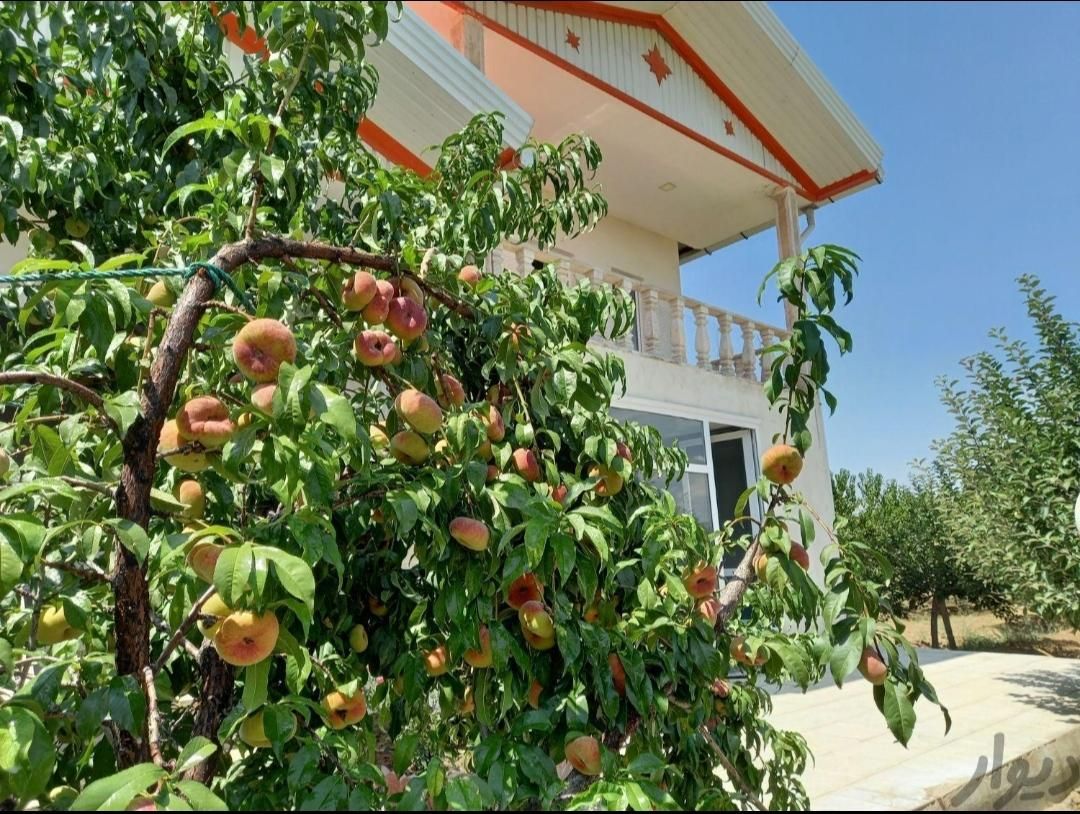 ویلایی،زین آباد،مبلغتونو بفرستین،نمونه عکس بفرستم|فروش خانه و ویلا|تبریز, |دیوار