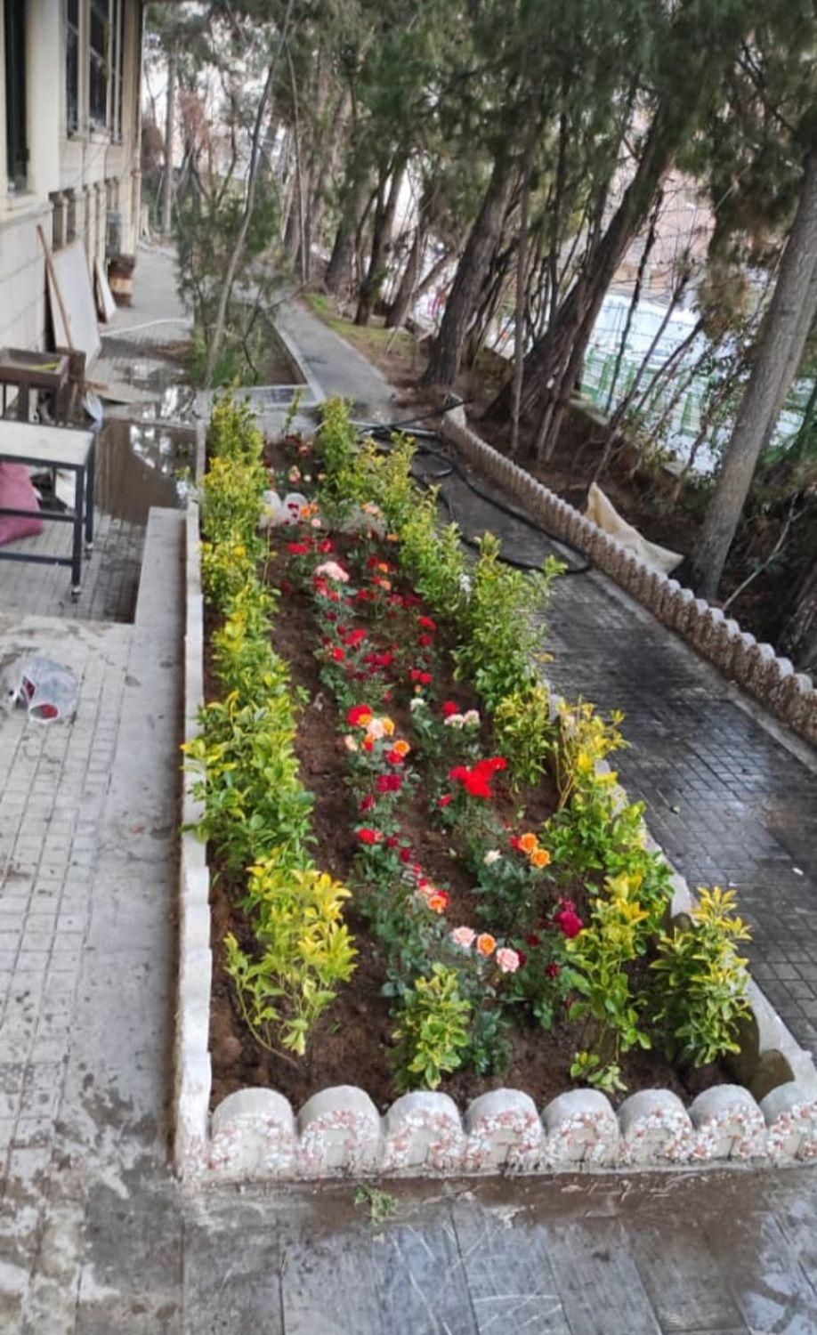 فروش گل و گیاه خدمات باغچه کاری باغبانی|خدمات باغبانی و درختکاری|تهران, یوسف‌آباد|دیوار