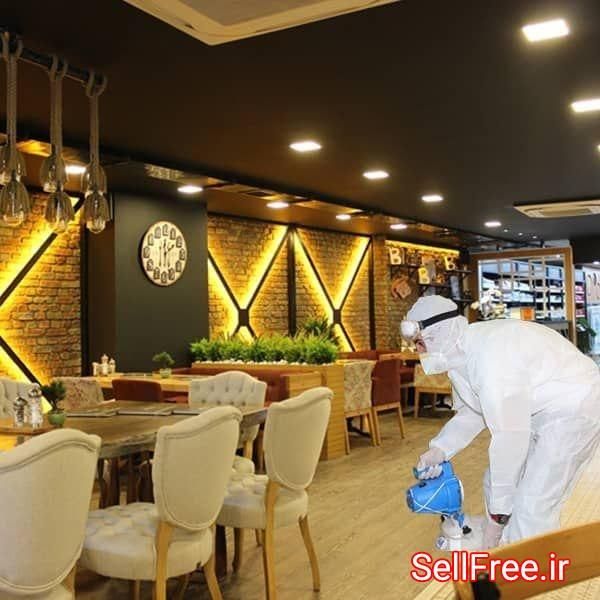 سمپاشی موریانه.سم پاشی سوسک و کنه باضمانت|خدمات نظافت|سنندج, |دیوار