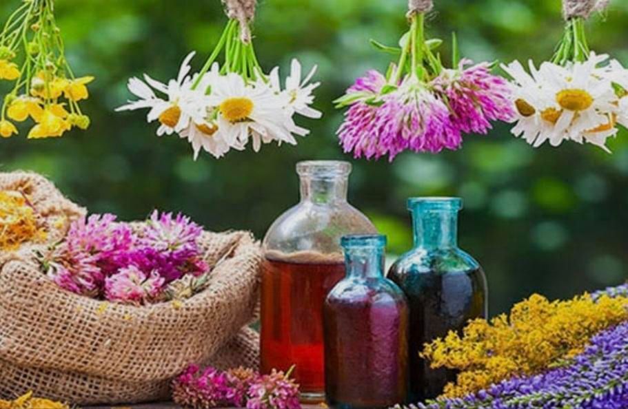 آموزش گیاهان دارویی و داروسازی گیاهی|خدمات آموزشی|تهران, جمهوری|دیوار