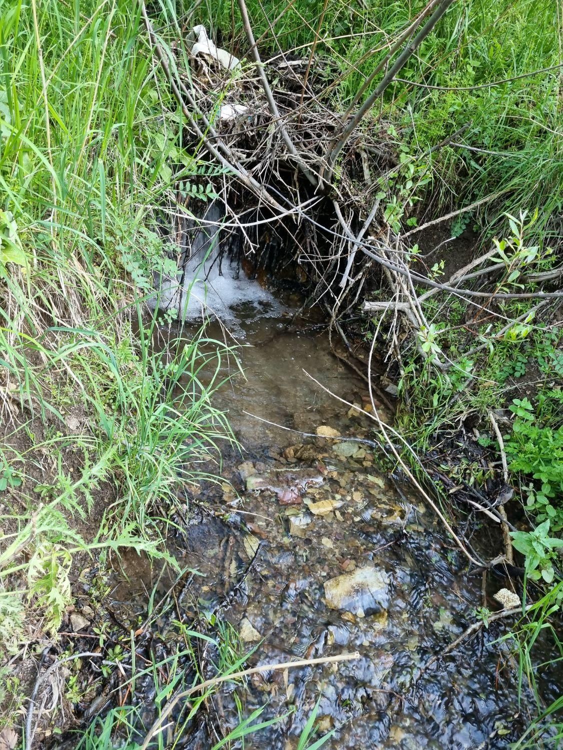 ۱۲۰ مترمربع زمین در روستای توریستی ابراهیم آباد|فروش دفتر صنعتی، کشاورزی، تجاری|کرج, شهرک ظفر|دیوار