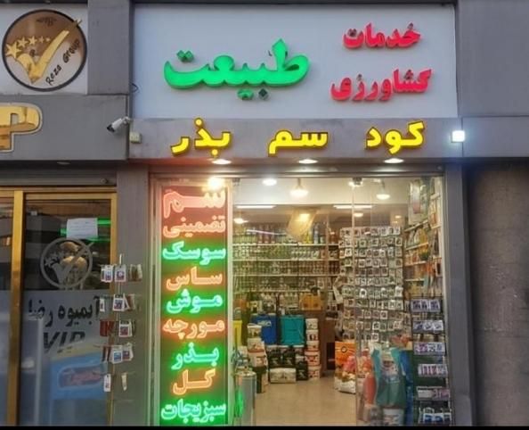 سم پاشی ساس سوسک(کل اهواز)سمپاشی مار/موریانه موش|خدمات نظافت|اهواز, زیتون کارمندی|دیوار