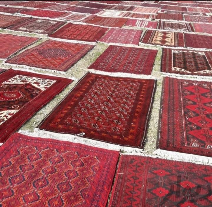 قالیشویی تمام اتوماتیک بندرقالی شویی|خدمات نظافت|بندرعباس, |دیوار