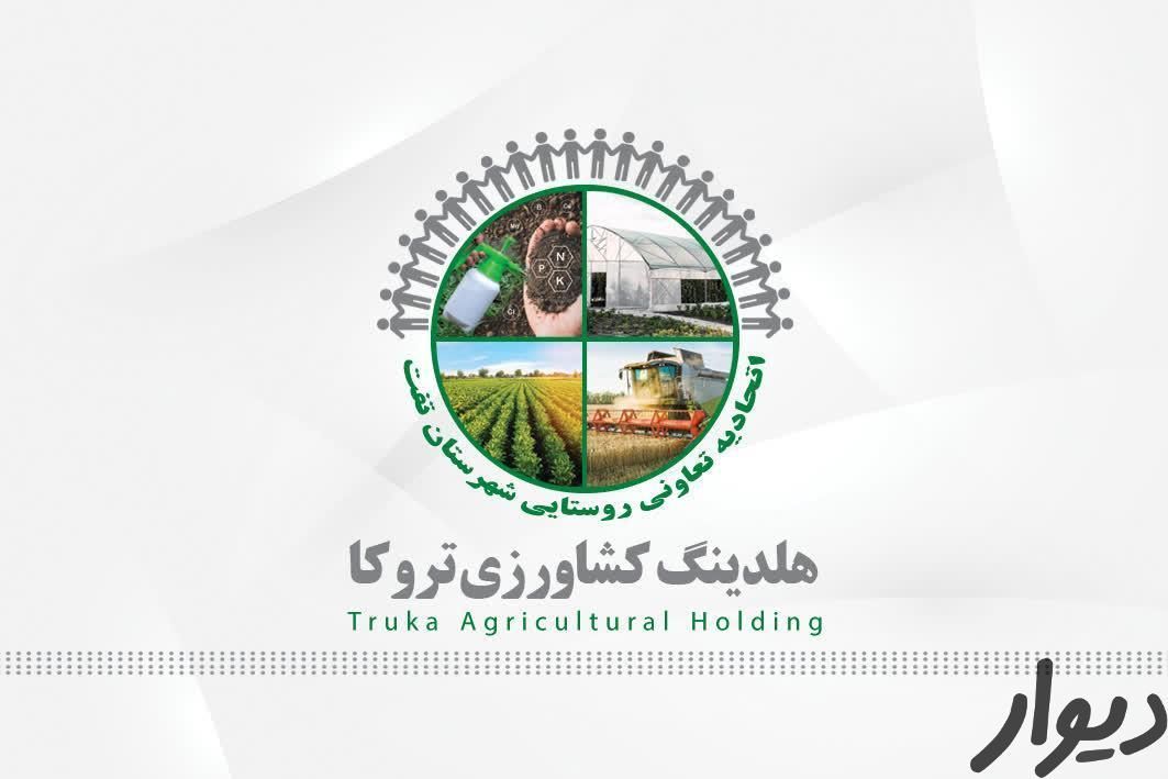 کشاورزی تروکا|خدمات باغبانی و درختکاری|تفت, |دیوار
