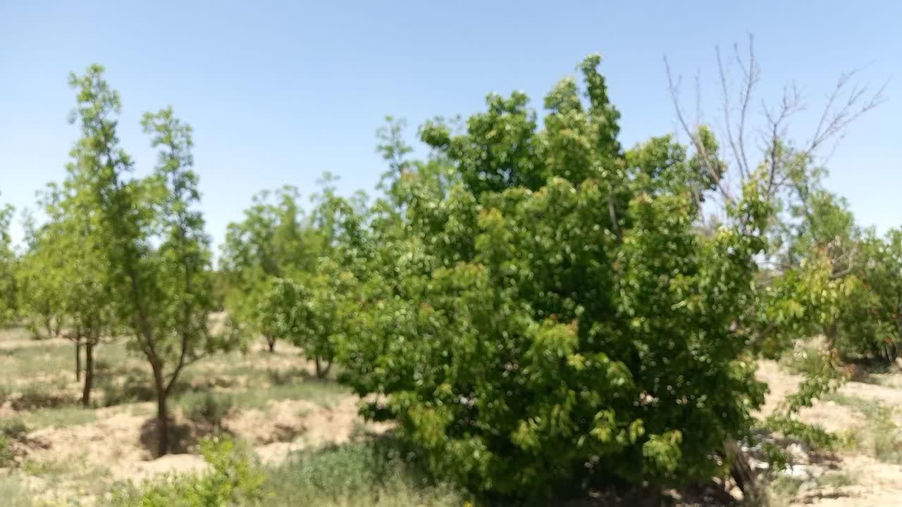 تصویر 4