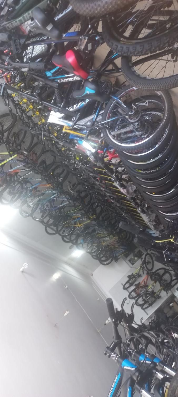 دوچرخه ۲۶ ویوا اکسیژن|دوچرخه، اسکیت، اسکوتر|یزد, |دیوار