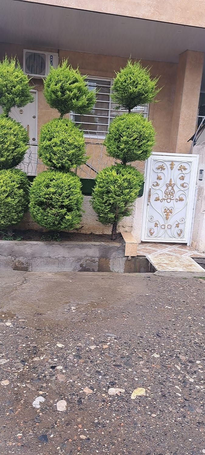 اجاره سویت روزانه/شبانه /هفتگی/ماهانه|اجارهٔ کوتاه‌مدت ویلا و باغ|چالوس, |دیوار