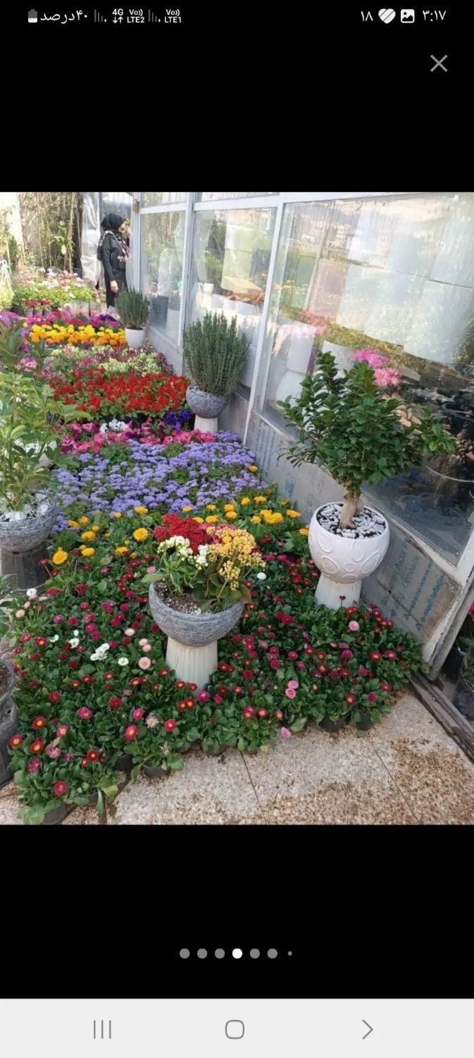 خدمات باغبانی درختکاری خاک گلدان باغچه کاری|خدمات باغبانی و درختکاری|تهران, سهروردی|دیوار