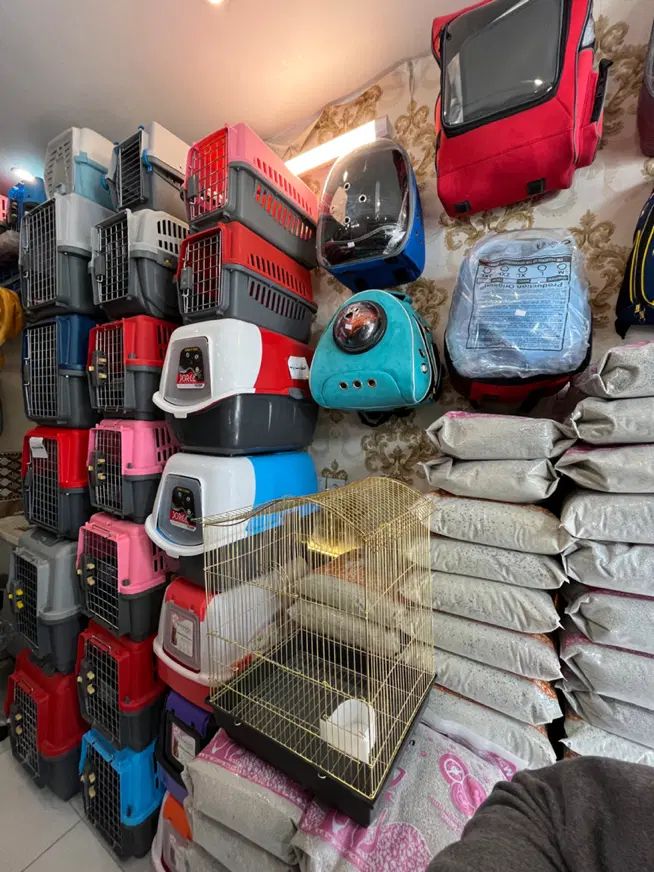 لبه دار مسقف کوچک|لوازم جانبی حیوانات|مشهد, گلبرگ|دیوار