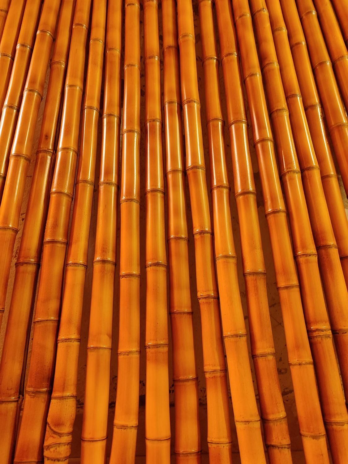 چوب بامبو های صادراتی قطر۵سانت|صنایع دستی و سایر لوازم تزئینی|تهران, هفده شهریور|دیوار