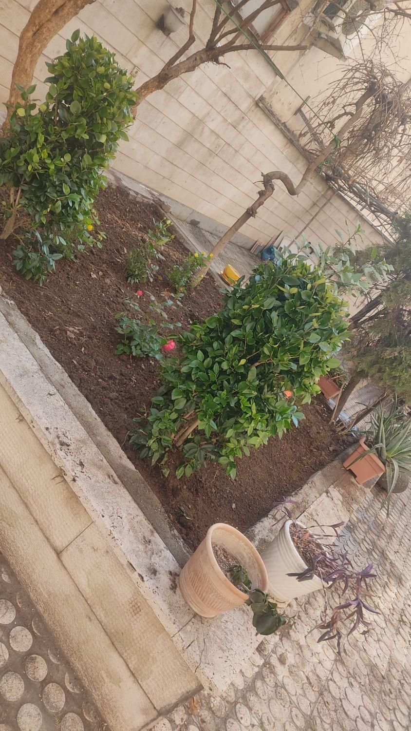 باغبانی سم پاشی سوسک ساس گلکاری هرس تعویض گلدان|خدمات باغبانی و درختکاری|تهران, تجریش|دیوار