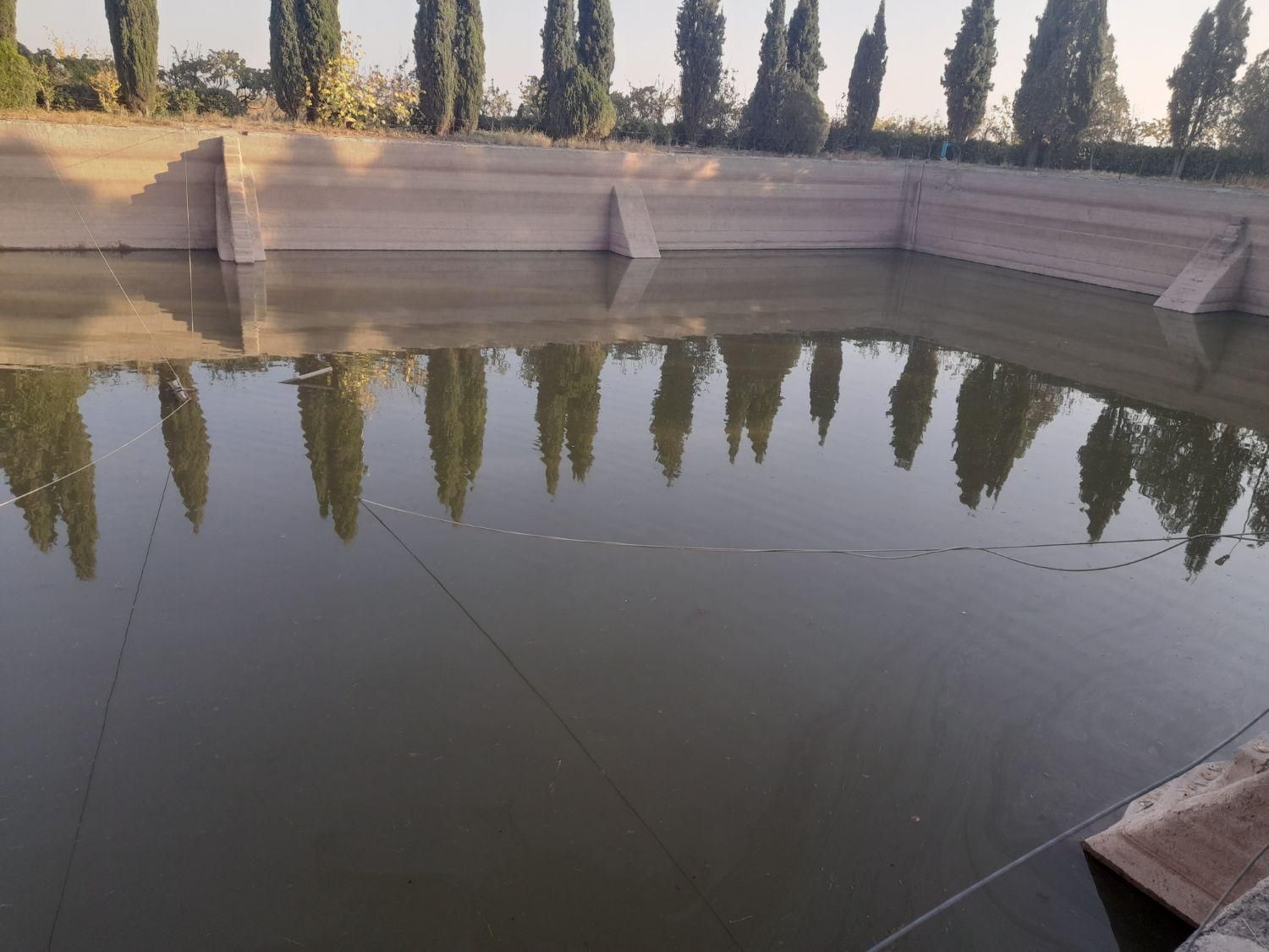 رفع نم بدون خرابی|خدمات پیشه و مهارت|نیشابور, هفده شهریور|دیوار