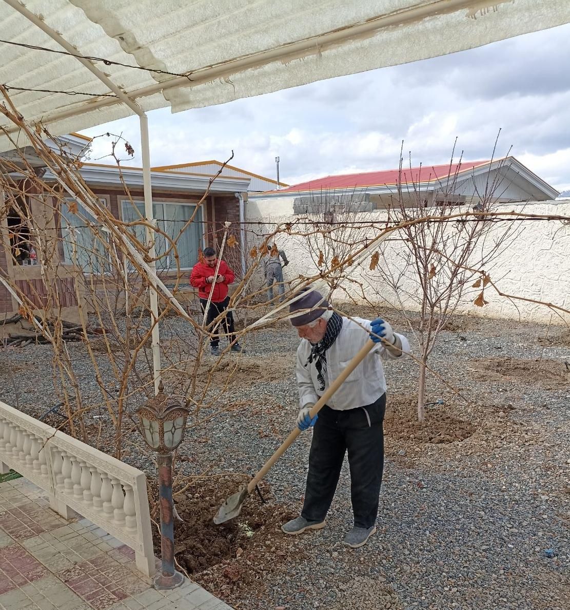 خدمات فضای سبز و باغبانی(هرس درختان،چالکود،سمپاشی)|خدمات باغبانی و درختکاری|تبریز, |دیوار