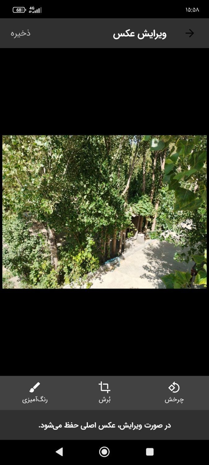 اسب سواری و باشگاه سوارکاری|اسب و تجهیزات اسب‌سواری|تبریز, |دیوار