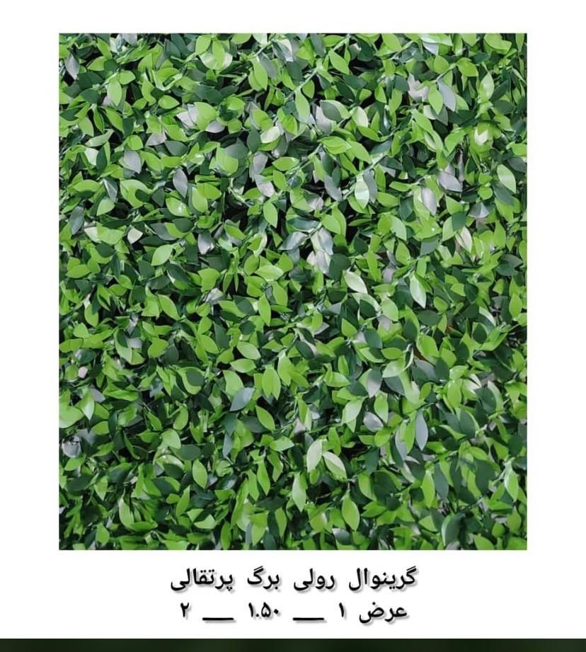 فنس برگ پرتقالی فنس برگ ریحون سنگ  ریسه آکاردئون|گل مصنوعی|تهران, هاشم‌آباد|دیوار