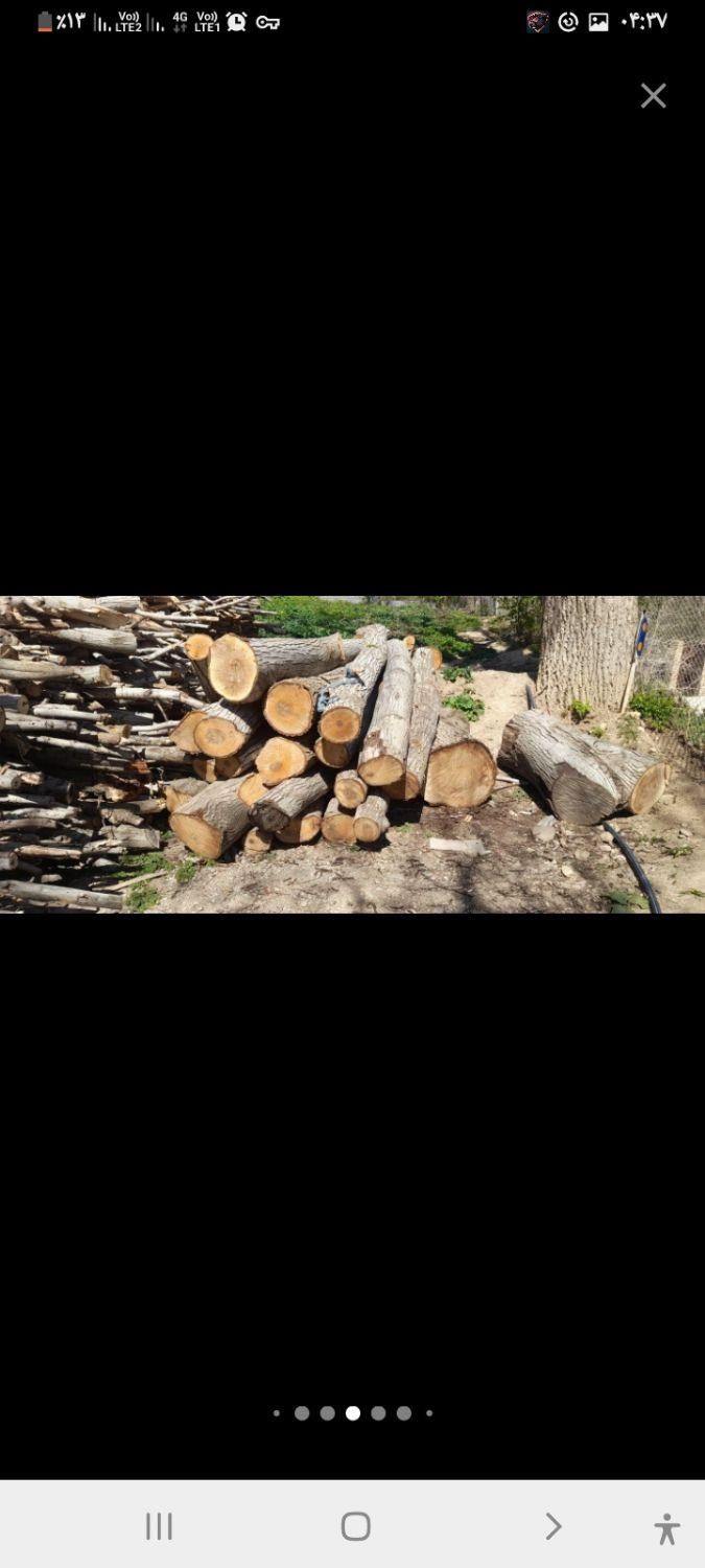 خریدار چوب|خدمات باغبانی و درختکاری|سنندج, |دیوار