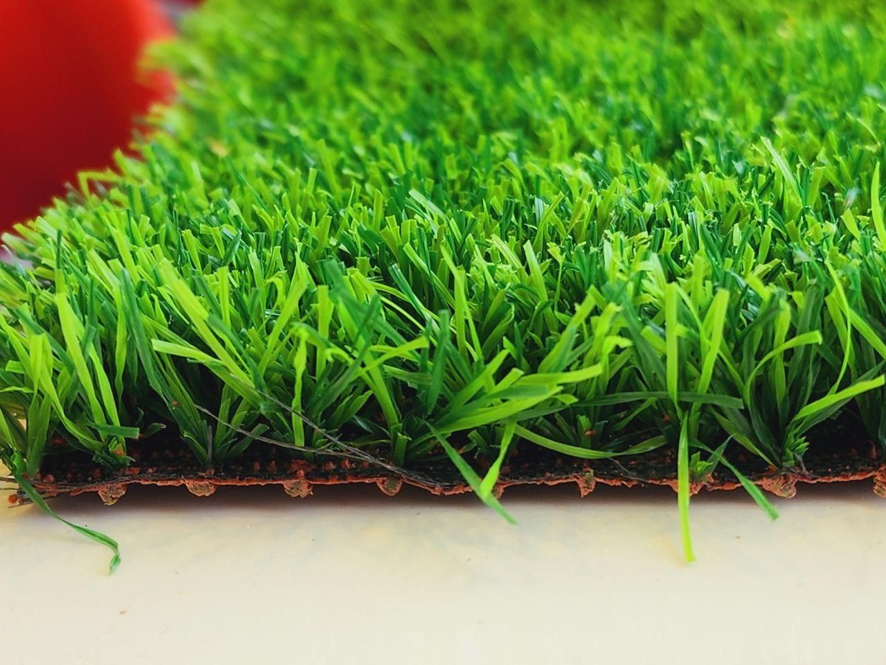 چمن مصنوعی|مصالح و تجهیزات ساختمان|دزفول, |دیوار