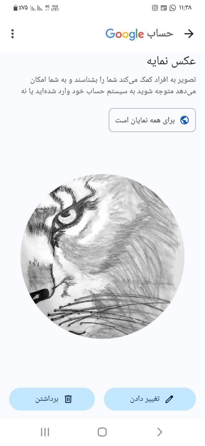 حلزون آچاتیناالبینو|خزنده|کرج, منظریه|دیوار