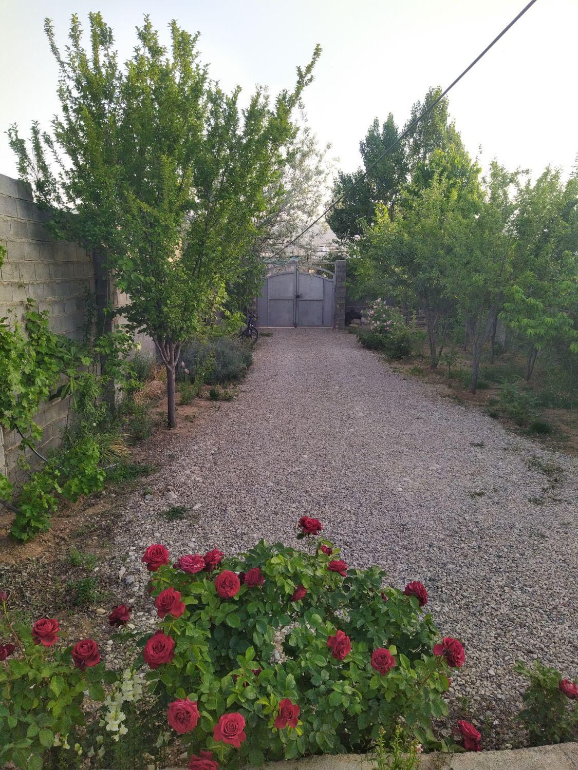 فروش زمین ۲۴۰ متری واقع در شهر تل خسرو کوچه سرو|فروش زمین و ملک کلنگی|یاسوج, |دیوار