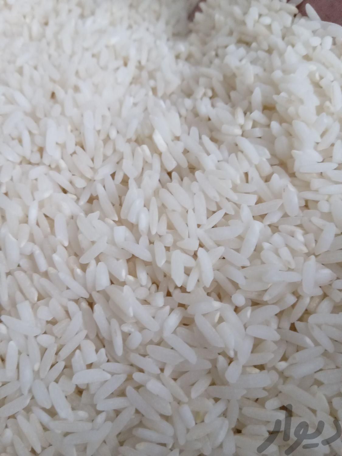 برنج هاشمی.گیلان|خوردنی و آشامیدنی|پاکدشت, |دیوار