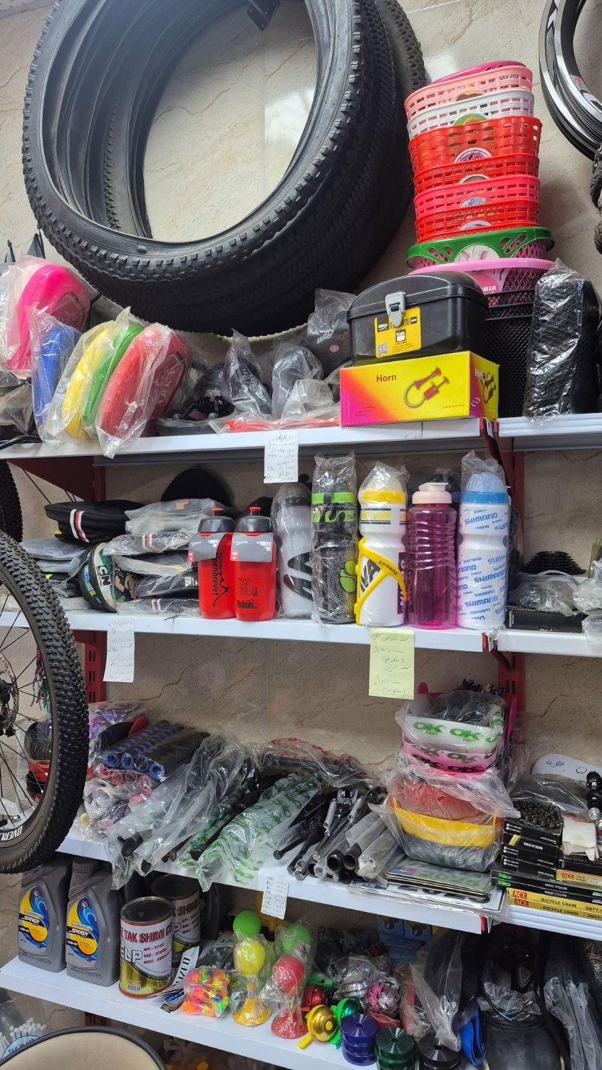 دوچرخه/لوازم یدکی/اکسسوری تزئینات دوچرخ عمده خرده|دوچرخه، اسکیت، اسکوتر|رشت, پاستوریزه|دیوار