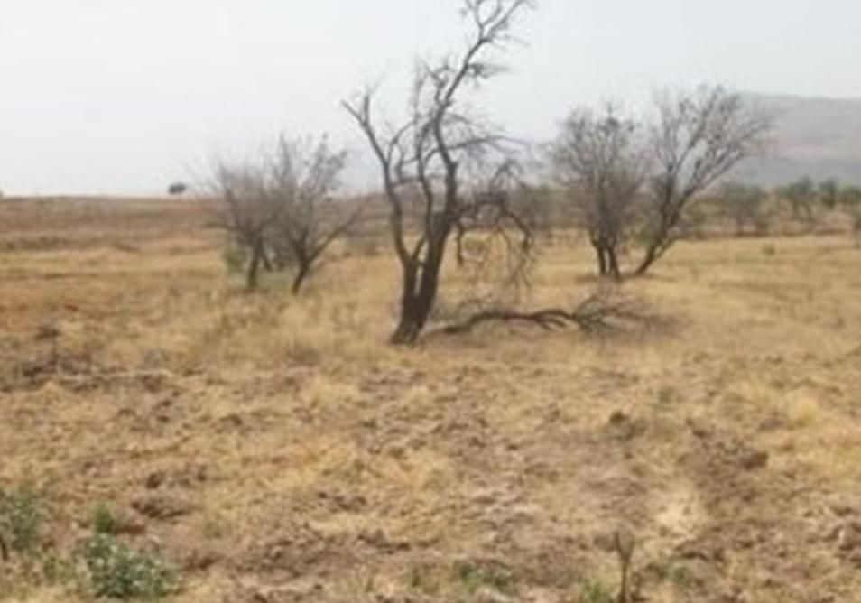 زمین بوستان زندگی نقد و معاوضه با خودرو|فروش زمین و ملک کلنگی|نجفآباد, شیخ آباد|دیوار