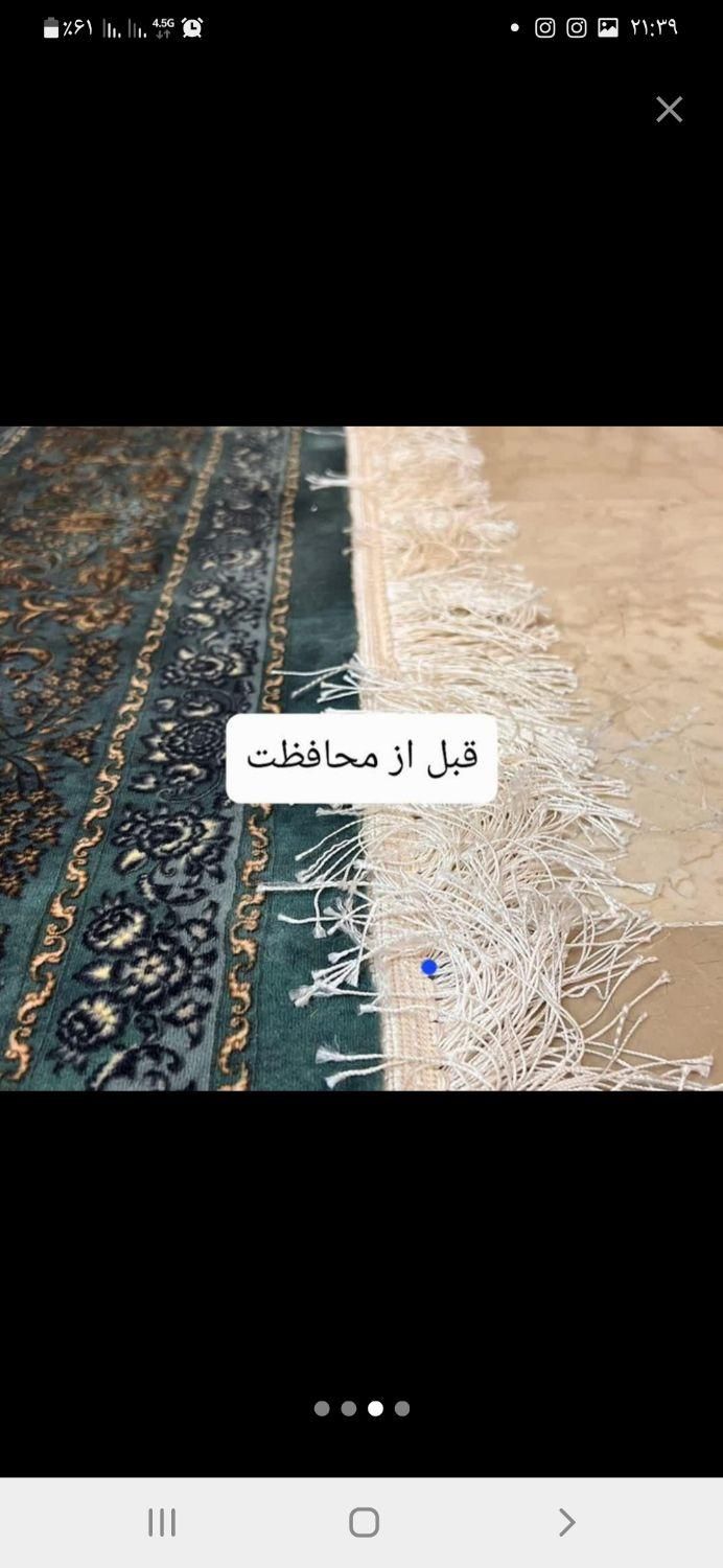 محافظ ریشه فرش.|گلیم، جاجیم، گبه|بیرجند, |دیوار