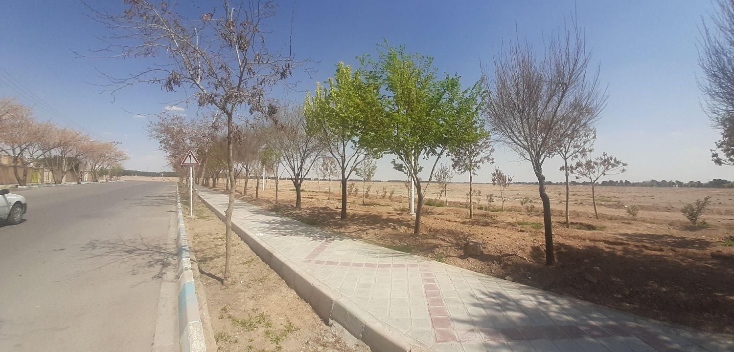 فروش زمین۴۵۰متری درمحله باهنرشاهین شهر(نقدواقساط)|فروش زمین و ملک کلنگی|نجف‌آباد, باغ ملی|دیوار