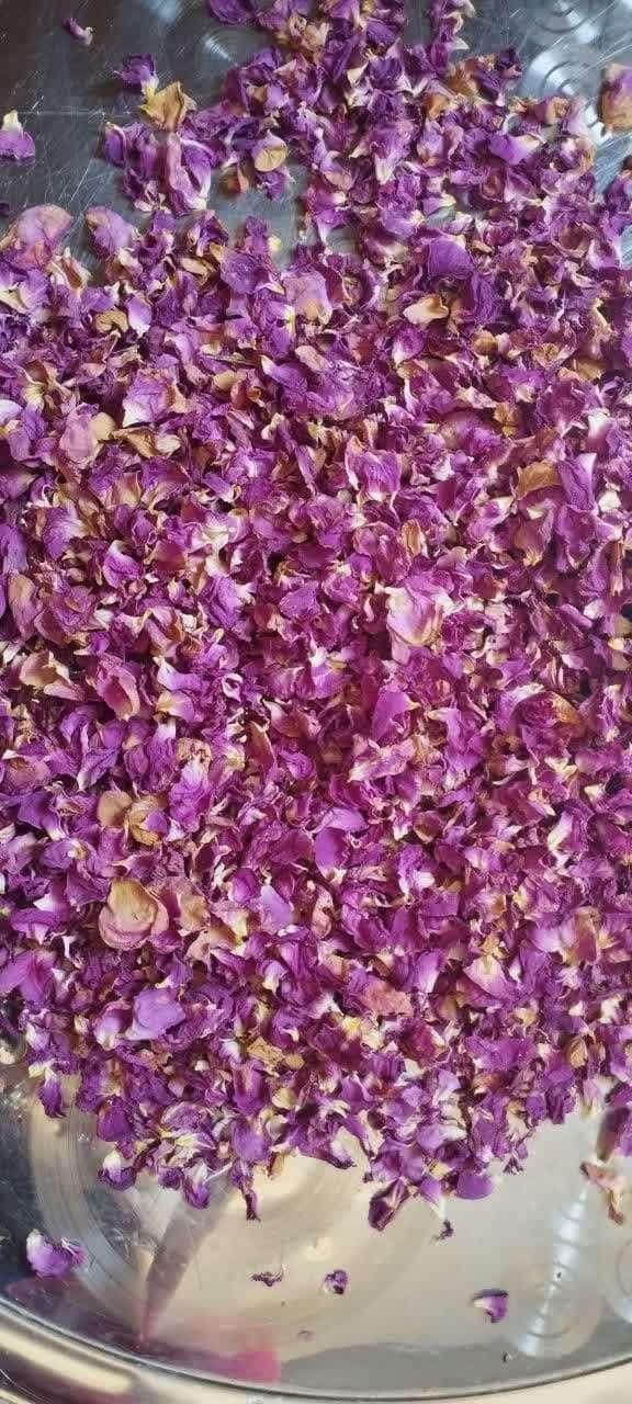 دستگاه میوه و سبزی خشک کن تراشه پرداز|سایر لوازم برقی|تهران, جنت‌آباد شمالی|دیوار