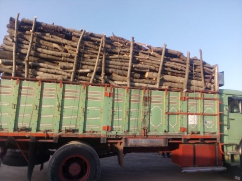 خریدچوب‌سقفی/قعط‌درخت|عمده‌فروشی|مشهد, بهمن|دیوار