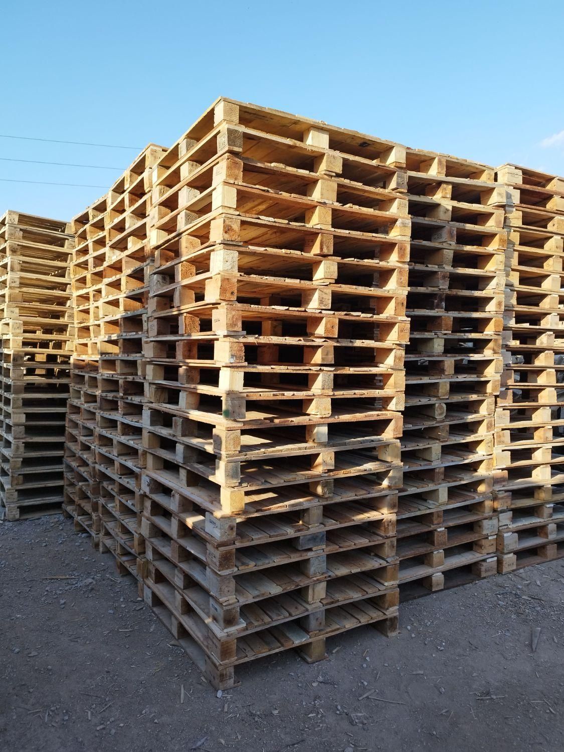 پالت چوبی و پلاستیکی عمده و تک|عمده‌فروشی|تهران, شهید رجایی|دیوار