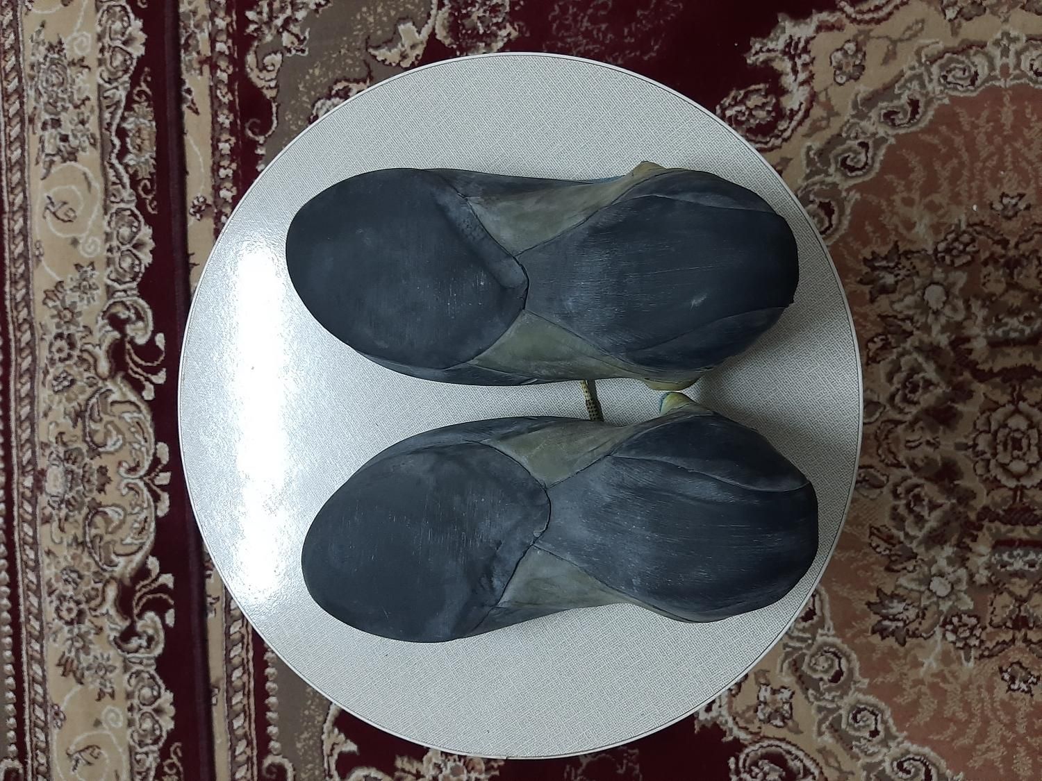 کفش سنگنوردی لاوان|کوهنوردی و کمپینگ|رشت, کوی جام جم|دیوار