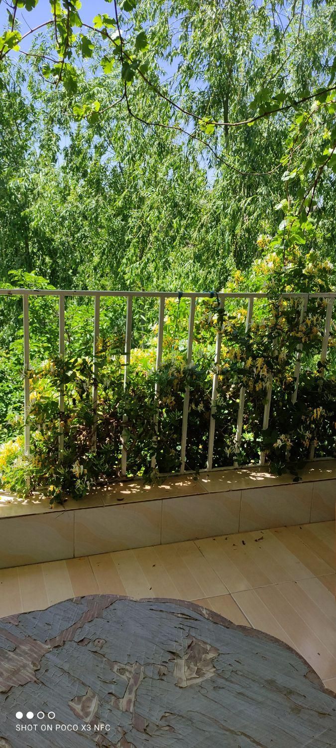 اجاره سوییت روزانه مبله لب آب|اجارهٔ کوتاه‌مدت آپارتمان و سوئیت|مبارکه, |دیوار