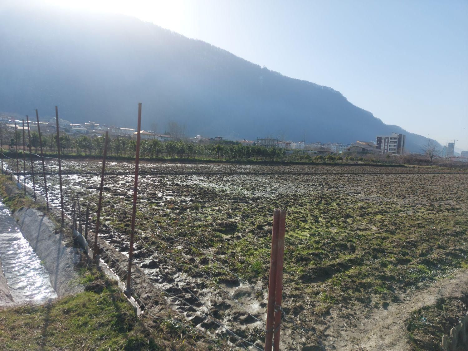 زمین  ۱۳۵۰ متر|فروش زمین و ملک کلنگی|هچیرود, |دیوار