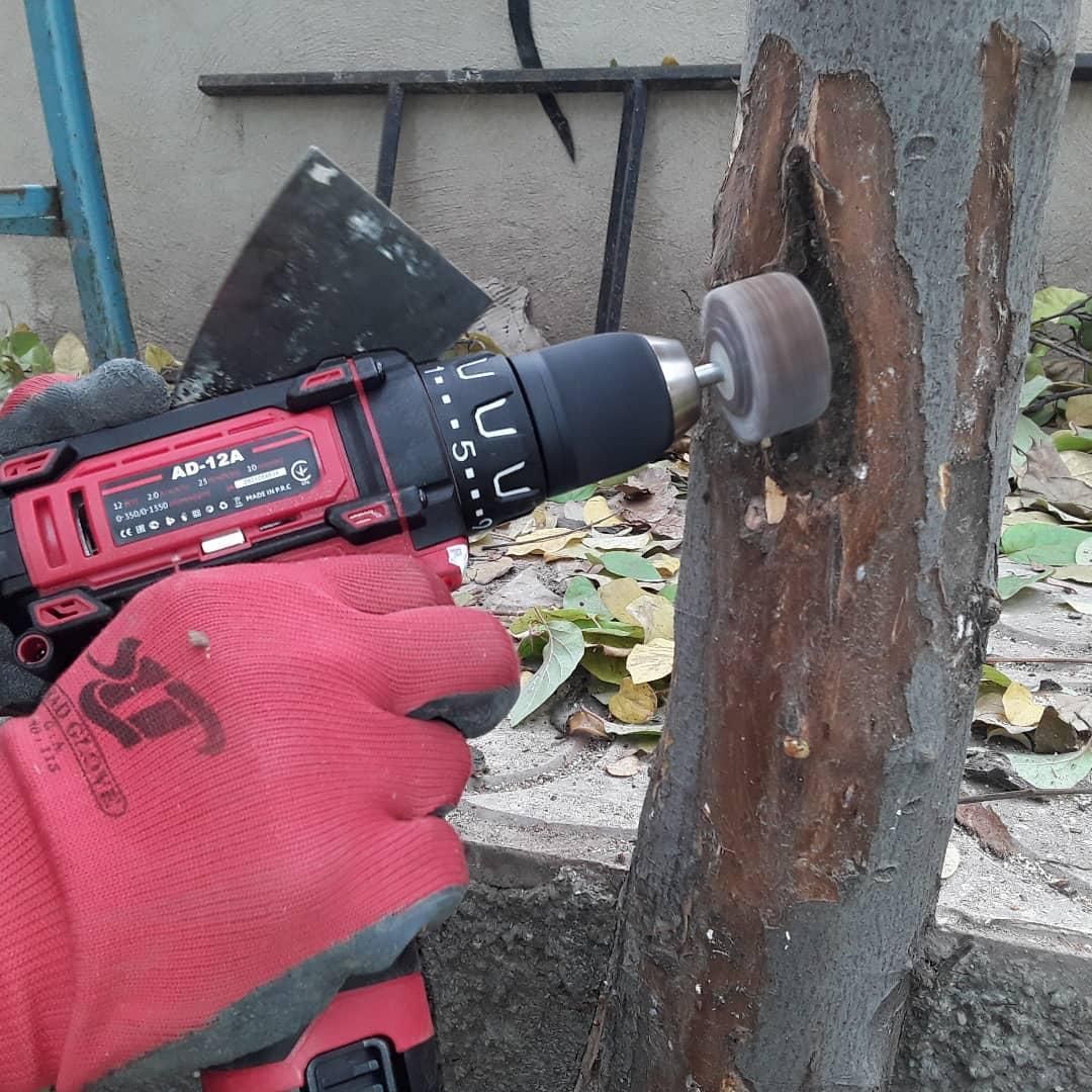 باغبانی لواسان ،فشم،پردیس،رودهن،دماوند|خدمات باغبانی و درختکاری|پردیس, |دیوار