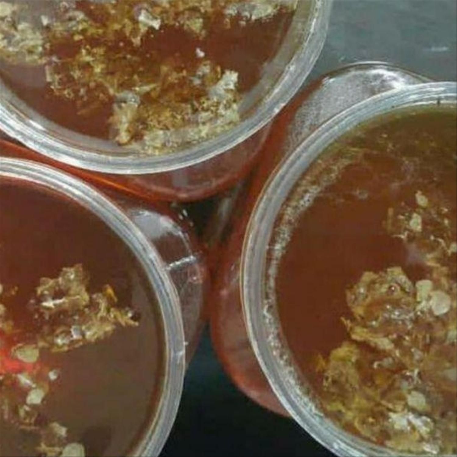 عسل وحشی کوهی طبیعی کوهستان برای درمان بیماریها|آرایشی، بهداشتی، درمانی|کرمانشاه, |دیوار