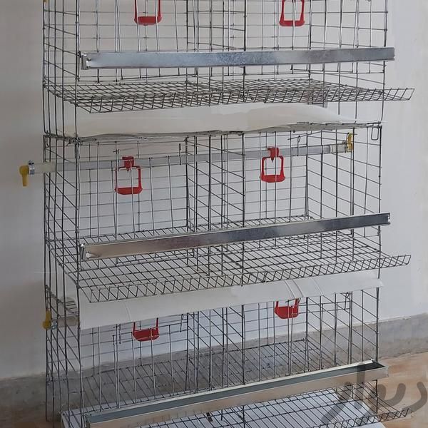 قفس مرغ و قفس بلدرچین و قفس کبوتر ضدزنگ + گارانتی|لوازم جانبی مربوط به حیوانات|مشهد, احمدآباد|دیوار