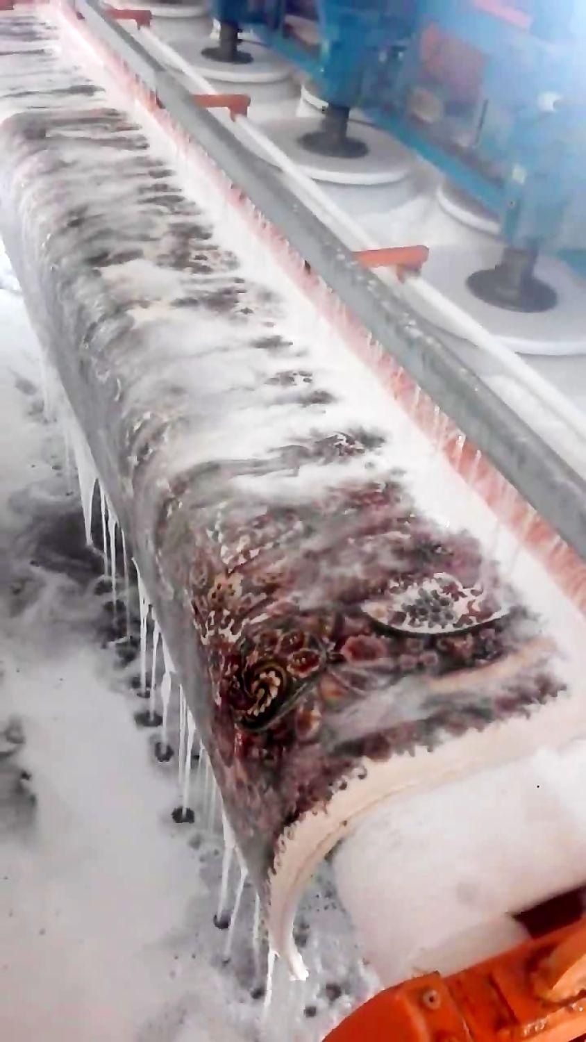 قالیشویی ترکمن شستشوی 100٪ تضمینی وبا کیفیت|خدمات نظافت|قزوین, |دیوار