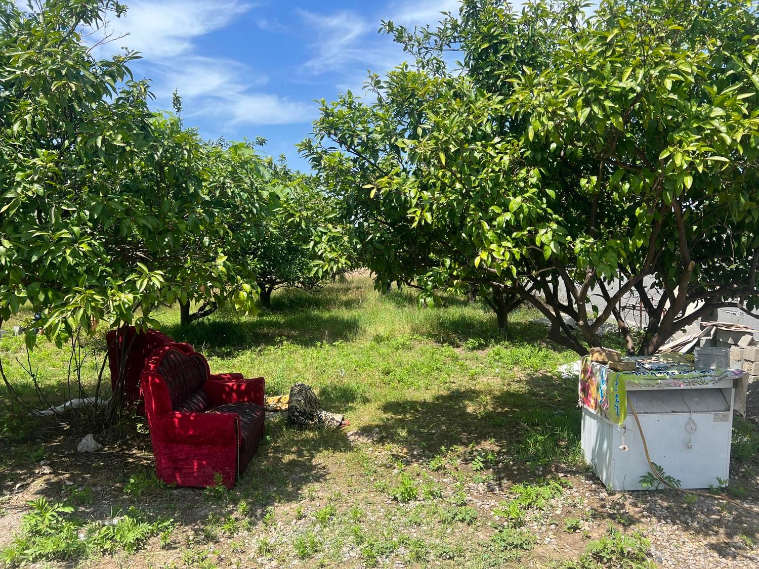 ۶۰۰ متر زمین خوش قواره دیوار به دیوار بافت مسکونی|فروش دفتر صنعتی، کشاورزی، تجاری|کیاکلا, |دیوار