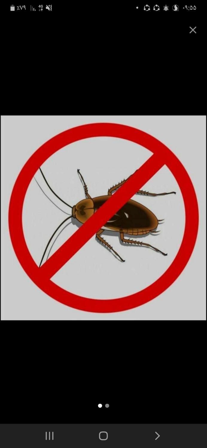 خدمات سم پاشی منزل|خدمات نظافت|صدرا-فارس, |دیوار