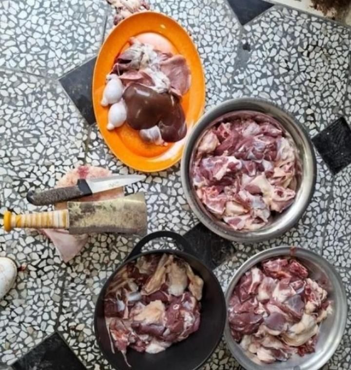انواع گوسفند (بره نر و شیشک نزاییده)|حیوانات مزرعه|قم, امامزاده ابراهیم|دیوار