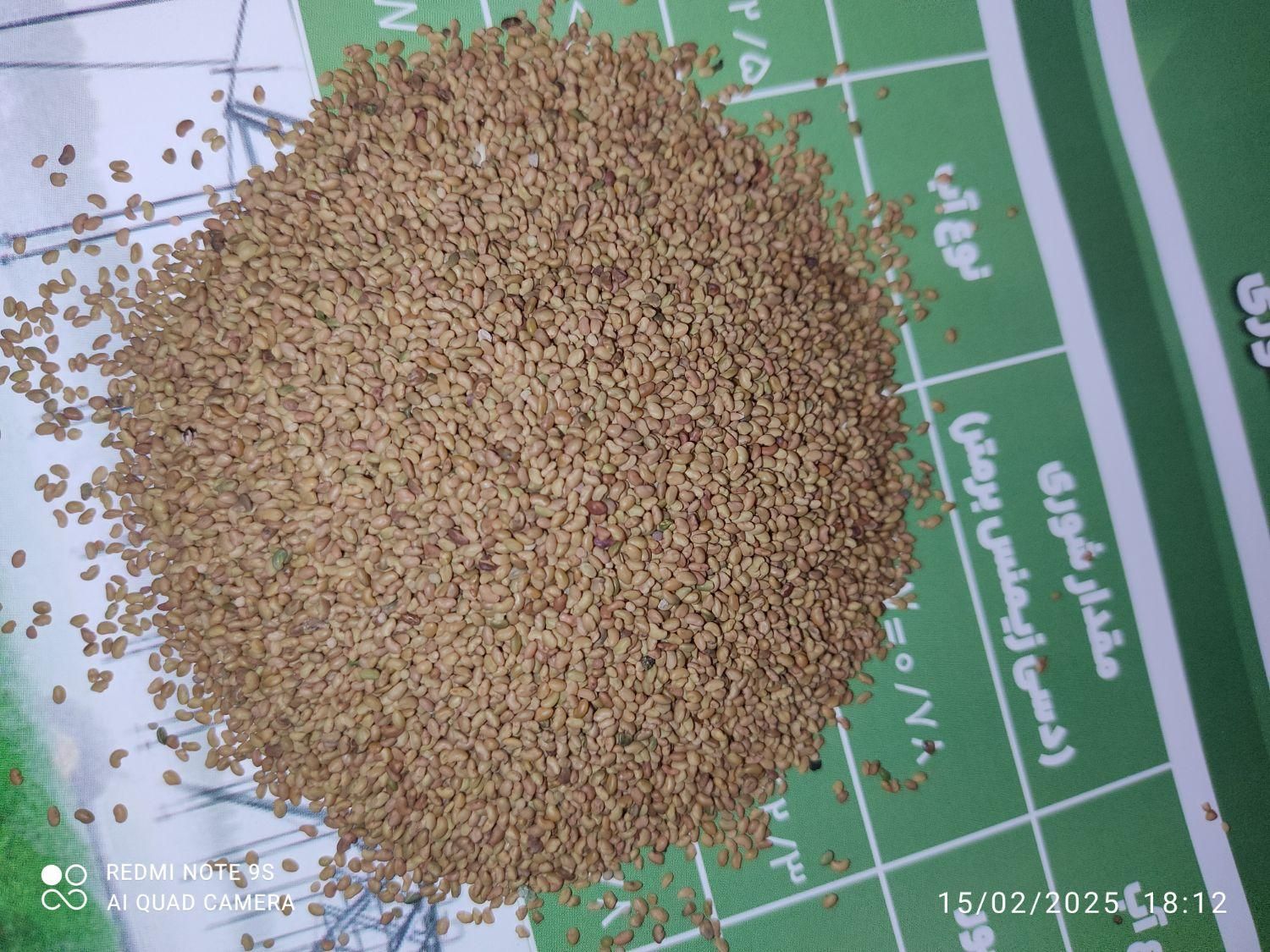 زرین بذر یونجه|خدمات باغبانی و درختکاری|شیراز, خلدبرین|دیوار
