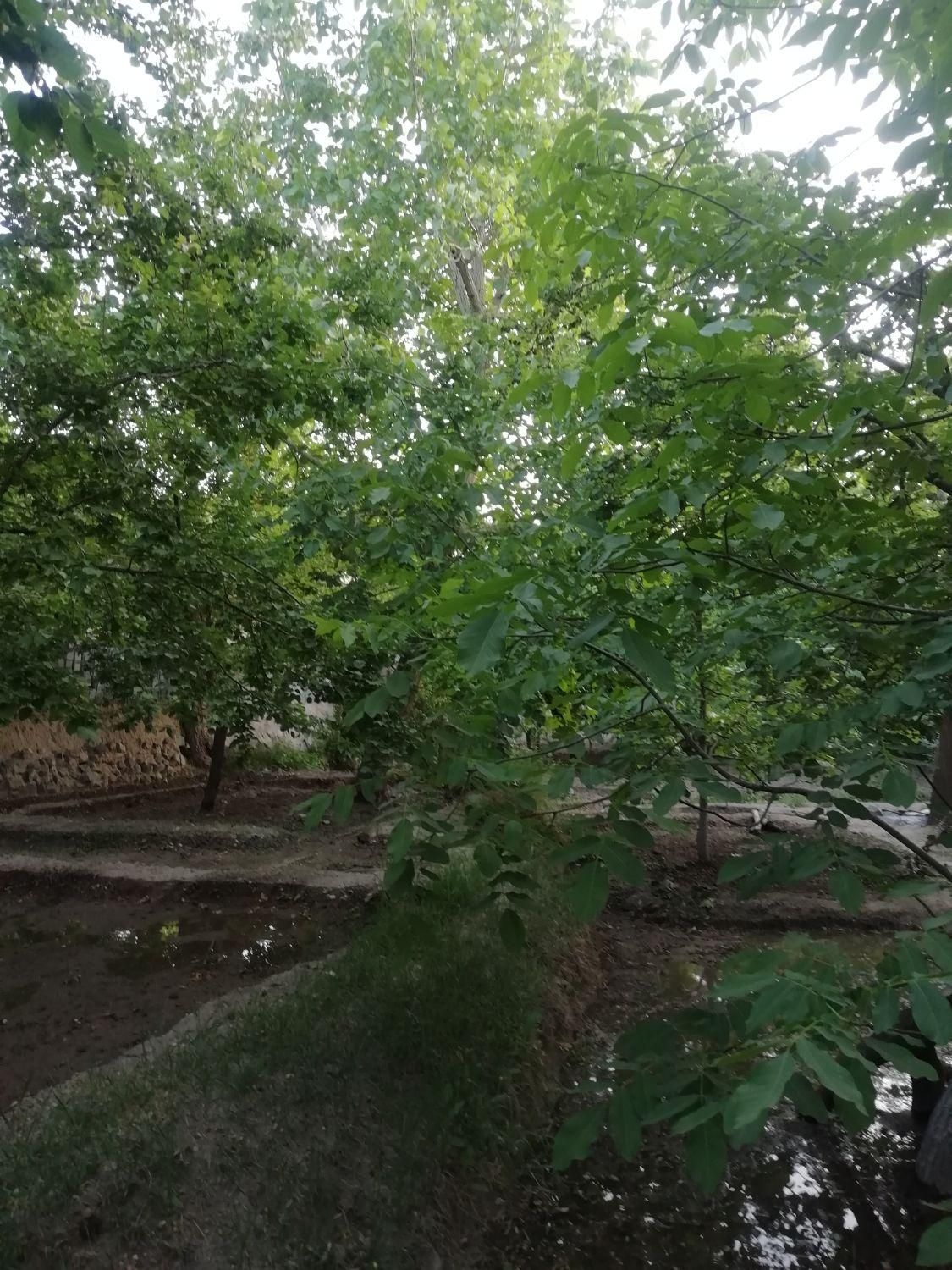 تصویر 4