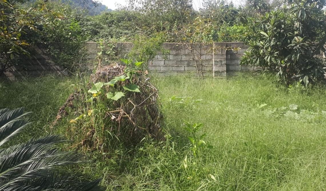 فروش زمین سنددار|فروش زمین و ملک کلنگی|لاهیجان, امیرشهید|دیوار