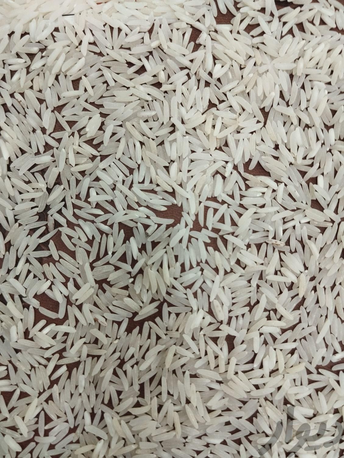 انواع برنج های ایرانی  پخت و تست|خوردنی و آشامیدنی|پاکدشت, |دیوار