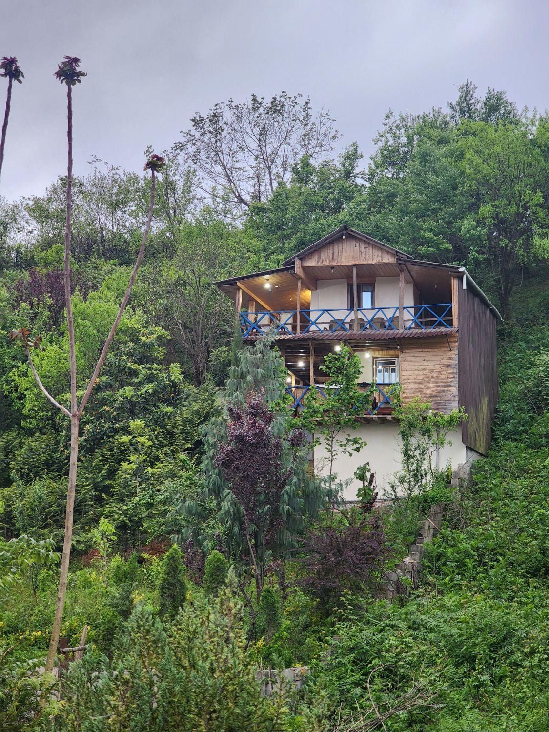 اجاره کلبه جنگلی ویلا سوئیت در دوهزار|اجارهٔ کوتاه‌مدت ویلا و باغ|تنکابن, |دیوار