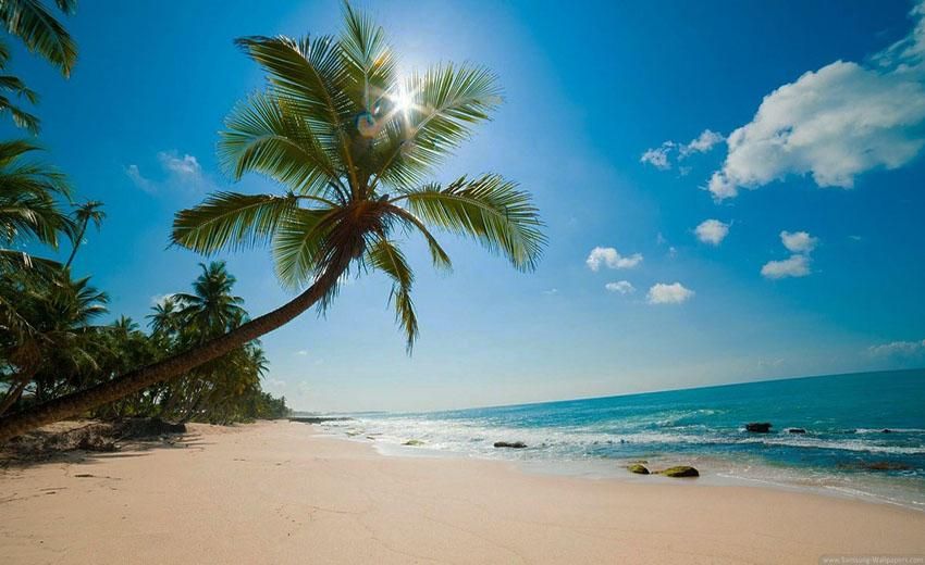 تور کیش و قشم بدون پیش پرداخت|تور و چارتر|مشهد, صیاد شیرازی|دیوار