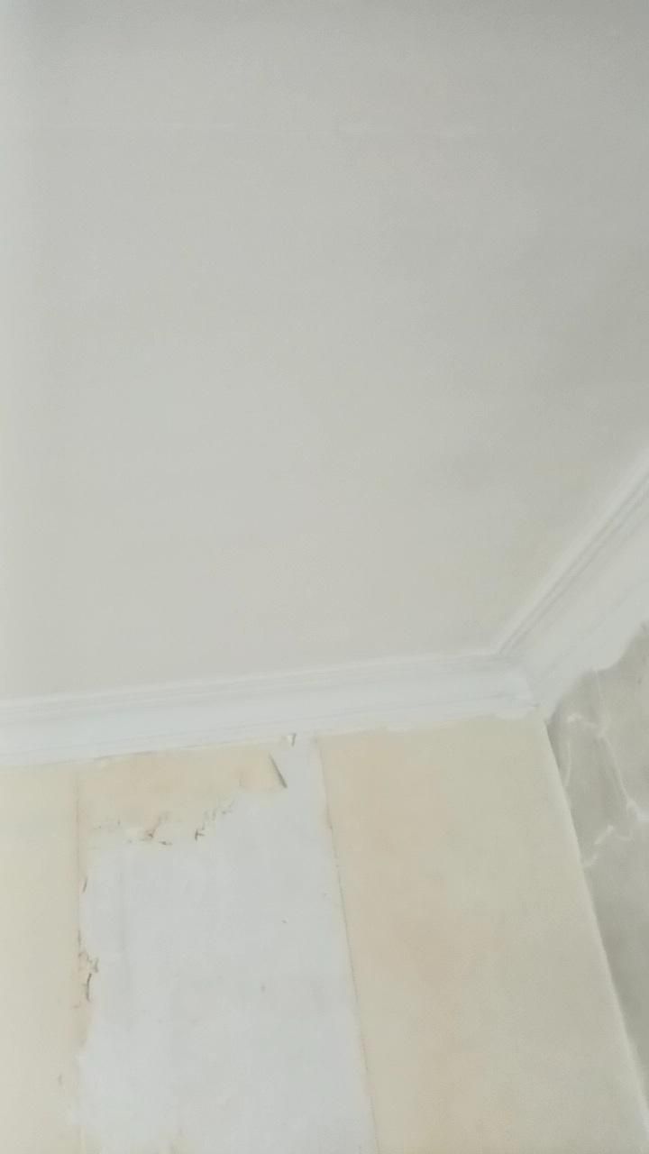 گچ کاری و گچکاری .سرامیک .کاشی کار|خدمات پیشه و مهارت|تهران, فلسطین (میدان انقلاب)|دیوار